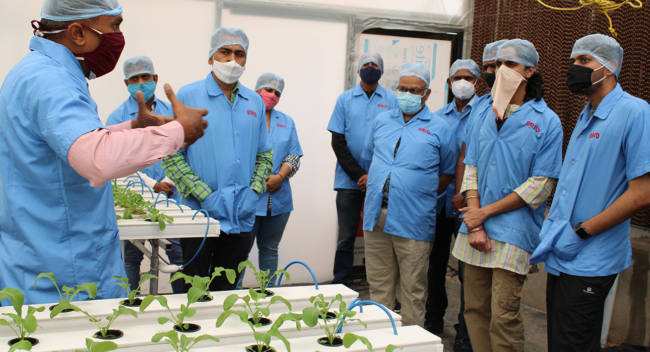 hydroponic farming setup